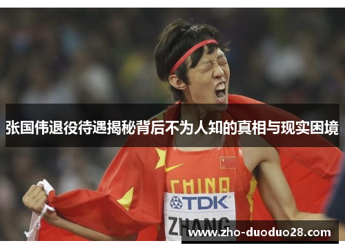 张国伟退役待遇揭秘背后不为人知的真相与现实困境 张国伟退役待遇揭秘背后不为人知的真相与现实困境