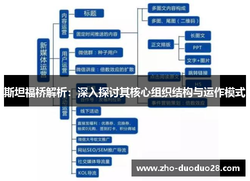 斯坦福桥解析：深入探讨其核心组织结构与运作模式