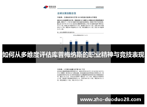 如何从多维度评估库普梅纳斯的职业精神与竞技表现