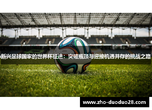 新兴足球国家的世界杯征途：突破瓶颈与迎接机遇并存的挑战之路