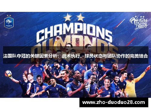 法国队夺冠的关键因素分析：战术执行、球员状态与团队协作的完美结合