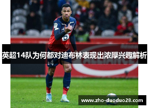 英超14队为何都对迪布林表现出浓厚兴趣解析