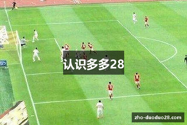 认识多多28